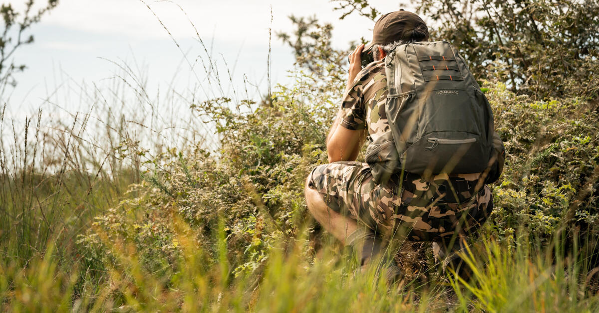 Le chasseur petit gibier migrateur